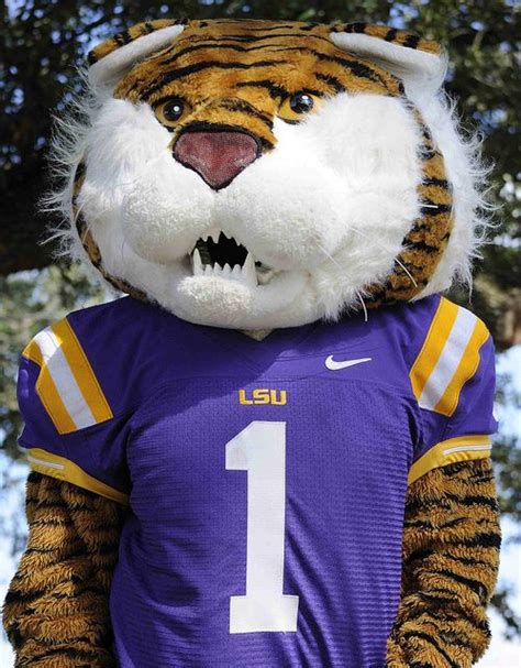 From Jungle Cat to Campus Icon: The Story of LSU's Tiger Mascot